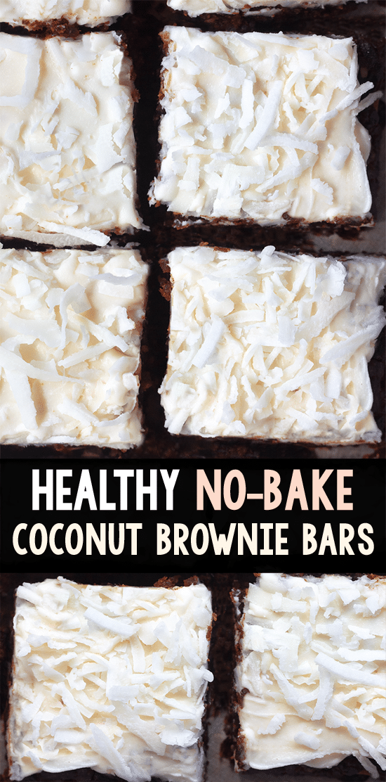 Coconut Chocolate Chip Brownie Healthy Snack Bars