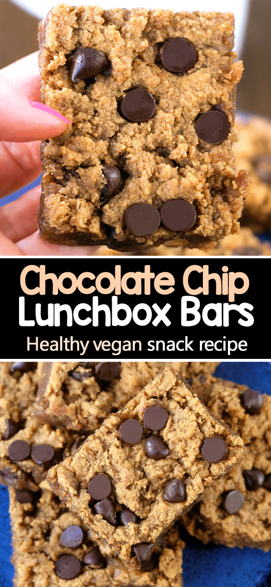 Healthy Lunch Box Snack Idea