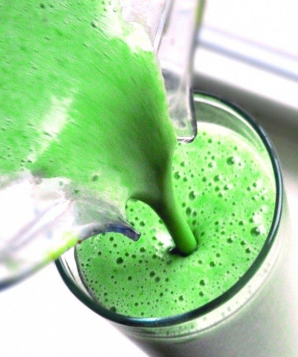 Healthy Shamrock Shakes - A small McDonalds shake will set you back 530 calories & 73 grams of sugar... Do your health a favor and make your own healthy Shamrock Shakes at home! https://chocolatecoveredkatie.com/2011/02/24/raw-mint-chocolate-chip-milkshake/ @choccoveredkt