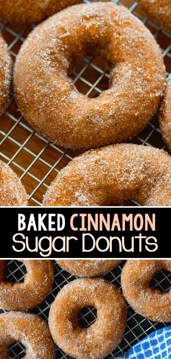 Cinnamon Sugar Baked Doughnut Recipe