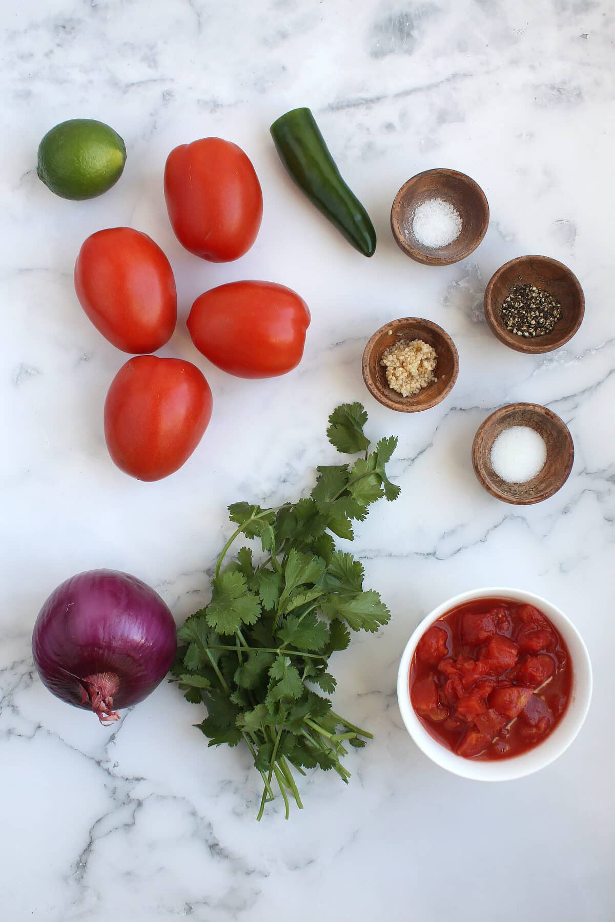 ingredients to make homemade salsa