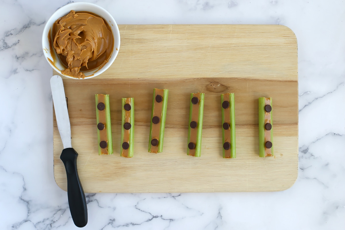 Chocolate chips placed on celery with peanut butter.