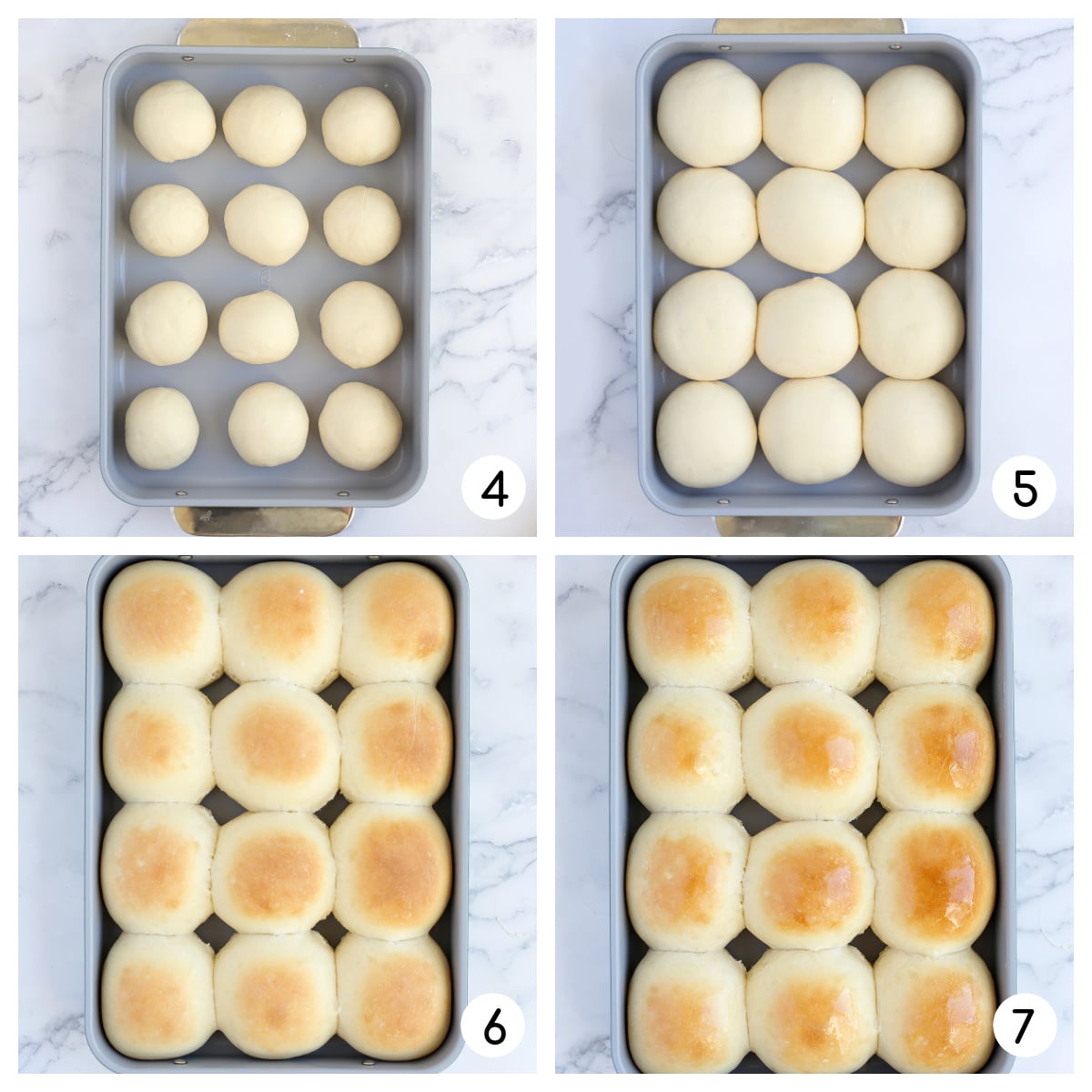 Process shots showing how to bake this dinner roll recipe.